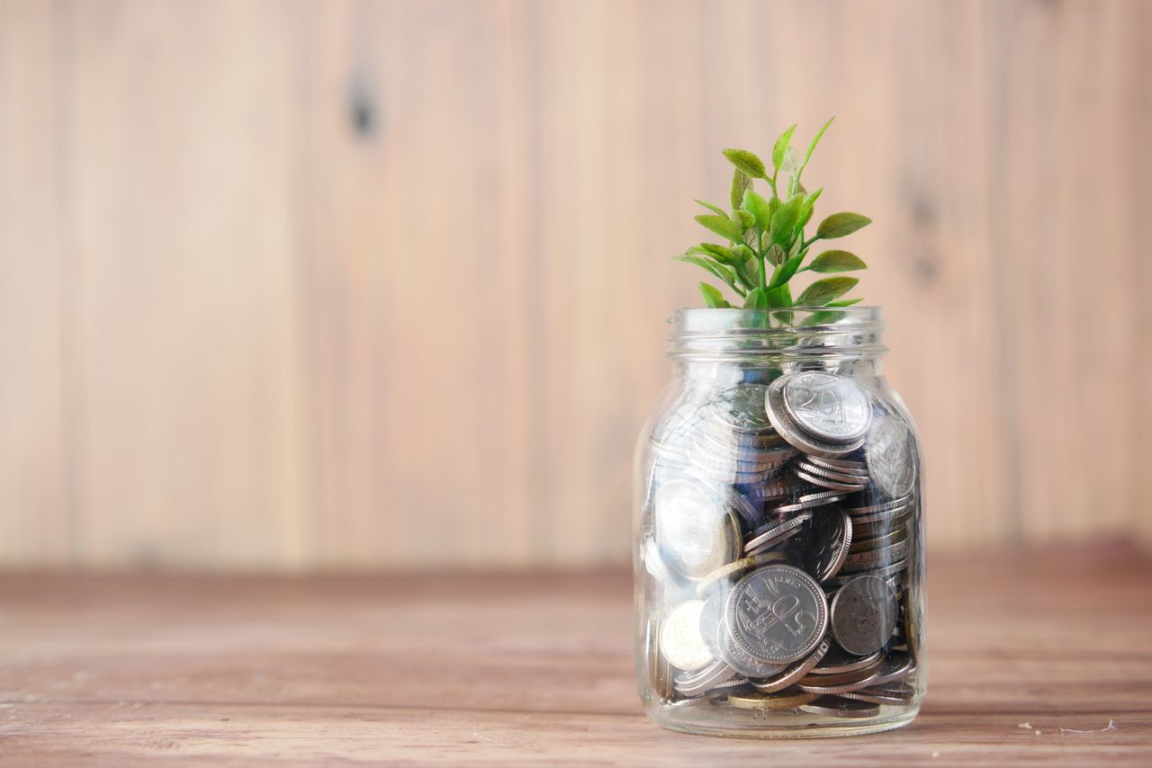 Rodada Seed: o que é, como funciona e o que investidores avaliam