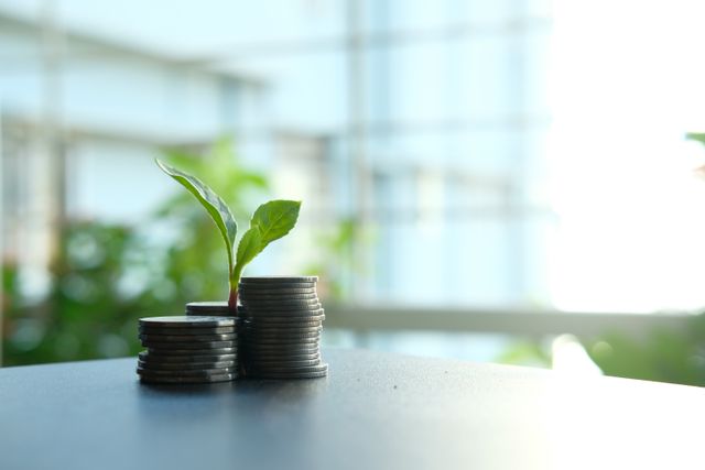 Stock Options: o que são, como funcionam e por que são importantes para startups
